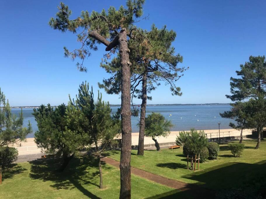 Studio Idealement Situe Arcachon Zewnętrze zdjęcie
